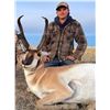 Image 1 : Alberta Minister's Pronghorn License 2026