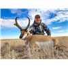 Image 2 : Alberta Minister's Pronghorn License 2026