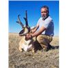 Image 3 : Alberta Minister's Pronghorn License 2026