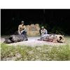 Image 1 : 3-Day Florida Alligator & Hog Hunt for Two (2) Hunters