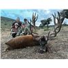 Image 1 : 5-Day Spain Hunting Trip for Two (2) Hunters and Two (2) Non-Hunters