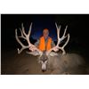 Image 2 : 2026 Utah Buck Deer Paunsaugunt Conservation Permit, Hunter’s Choice of Season/Weapon