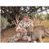 Image 3 : 2026 Utah Buck Deer Paunsaugunt Conservation Permit, Hunter’s Choice of Season/Weapon