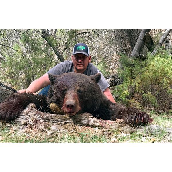 2026 Book Cliffs, Bitter Creek/South Black Bear Conservation Permit - Multi-Season