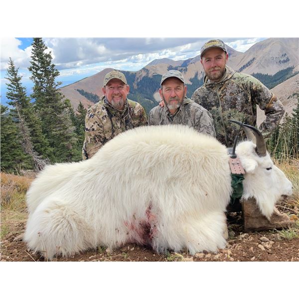 2026 Utah La Sal, La Sal Mtns Mountain Goat Conservation Permit - Any Legal Weapon (rifle)