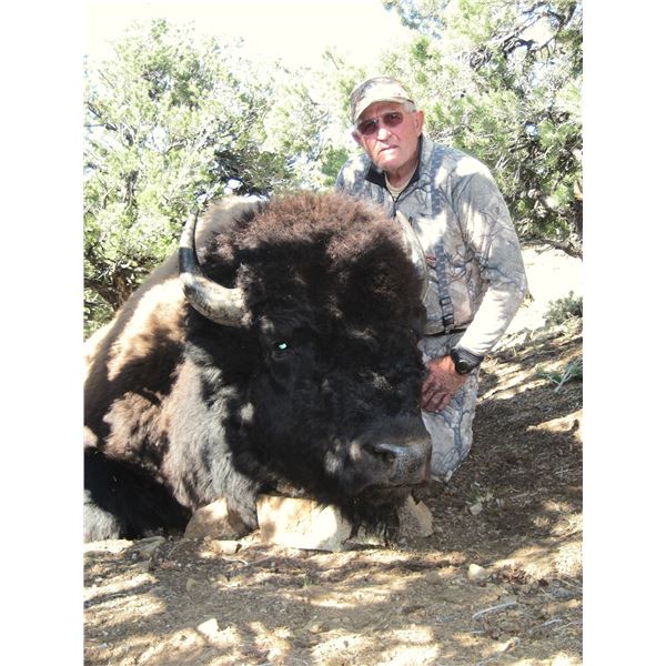 2026 Utah Book Cliffs, Bitter Creek Hunter's Choice Bison Conservation Permit