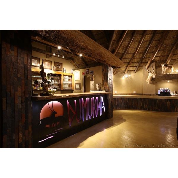 10-Day South African Impala & Blue Wildebeest Hunt for Two (2) Hunters