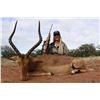 Image 2 : 10-Day South African Impala & Blue Wildebeest Hunt for Two (2) Hunters