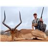 Image 3 : 10-Day South African Impala & Blue Wildebeest Hunt for Two (2) Hunters