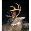 Image 2 : 2026 Missouri Whitetail Muzzleloader or Archery Hunt for 4