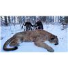 Image 3 : Alberta Minister's Cougar License 2026