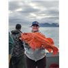 Image 3 : 2026 5 Day 6 Nights Freshwater & Saltwater Fishing Package for 4 on Alaska Prince of Wales Island