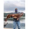 Image 6 : 2026 5 Day 6 Nights Freshwater & Saltwater Fishing Package for 4 on Alaska Prince of Wales Island