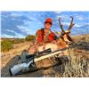Image 1 : 2026 Utah Pronghorn Buck Nine Mile, Anthro-Myton Bench Any Legal Weapon Conservation Permit