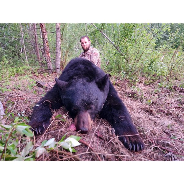 6-Day Fully Guided Baited Spring Black Bear Hunt in Alberta, Canada for One (1) Hunter in a 2 bear z
