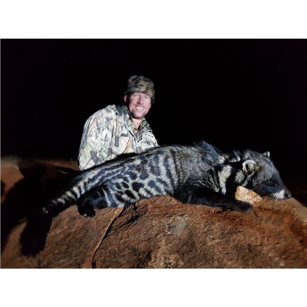 7-Day South Africa Civet Cat, Bushpig and Jackal Hunt for One (1) Hunter