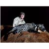 Image 1 : 7-Day South Africa Civet Cat, Bushpig and Jackal Hunt for One (1) Hunter