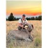 Image 1 : Oregon Aoudad Fair Chase Private Land Hunt for 1