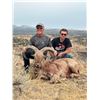 Image 2 : Oregon Aoudad Fair Chase Private Land Hunt for 1
