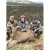 Image 4 : Oregon Aoudad Fair Chase Private Land Hunt for 1