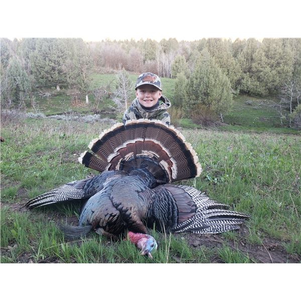 2026 Utah Statewide Turkey Conservation Permit