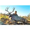 Image 3 : 2026 Utah Book Cliffs Buck Deer Conservation Permit - Multi-season