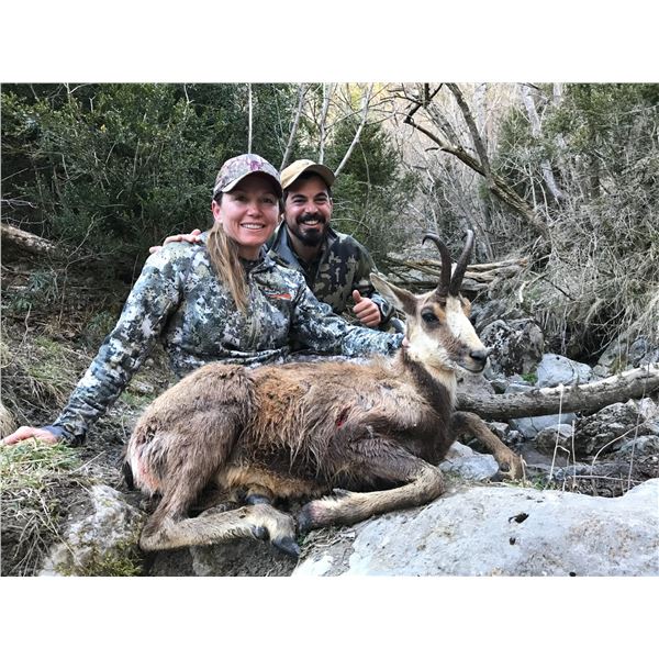 3-Day Pyrenean Chamois Hunt for One (1) Hunter & One (1) Non-Hunter
