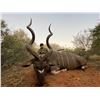 Image 1 : 8-Day 2027 South Africa Trophy Kudu Hunt for One (1) Hunter & One (1) Guest