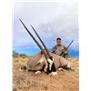 Image 10 : 3-Day New Mexico Oryx Hunt for 2 Hunters (1 Trophy Oryx Bull and 1 Trophy Oryx Cow)