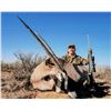 Image 4 : 3-Day New Mexico Oryx Hunt for 2 Hunters (1 Trophy Oryx Bull and 1 Trophy Oryx Cow)