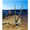 Image 7 : 3-Day New Mexico Oryx Hunt for 2 Hunters (1 Trophy Oryx Bull and 1 Trophy Oryx Cow)