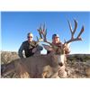 Image 1 : New Mexico Special Deer Permit