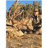 Image 4 : New Mexico Special Deer Permit