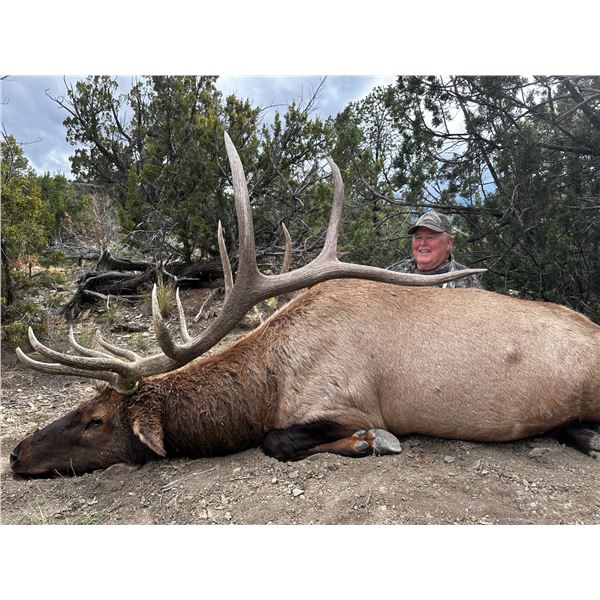 13-Day Elk Hunt for One (1) Hunter on the Acoma Pueblo