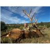 Image 4 : 13-Day Elk Hunt for One (1) Hunter on the Acoma Pueblo