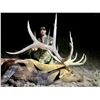 Image 5 : 13-Day Elk Hunt for One (1) Hunter on the Acoma Pueblo