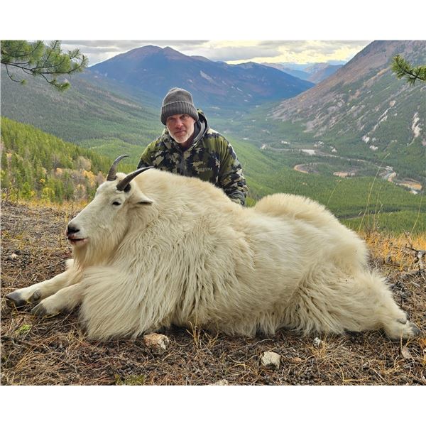 2027 10-Day Mountain Goat Hunt with Full Curl Stone Outfitters, BC