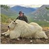 Image 1 : 2027 10-Day Mountain Goat Hunt with Full Curl Stone Outfitters, BC
