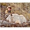 Image 2 : 2027 10-Day Mountain Goat Hunt with Full Curl Stone Outfitters, BC