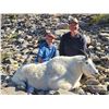 Image 3 : 2027 10-Day Mountain Goat Hunt with Full Curl Stone Outfitters, BC
