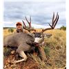 Image 3 : 2026 Utah Paunsaugunt LE Buck Deer Conservation Permit, Multi-season