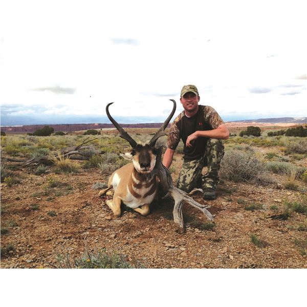 2026 Utah Statewide Buck Pronghorn Conservation Permit