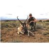 Image 1 : 2026 Utah Statewide Buck Pronghorn Conservation Permit