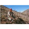 Image 1 : 2026 Utah Fillmore, Oak Creek LE Buck Deer Landowner Permit Hunter’s Choice of Season/Weapo