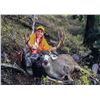 Image 3 : 2026 Utah Fillmore, Oak Creek LE Buck Deer Landowner Permit Hunter’s Choice of Season/Weapo