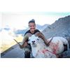 Image 2 : 10-Day Dall Sheep Hunt for 1 Hunter with Arctic Red River Outfitters, NWT