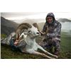 Image 4 : 10-Day Dall Sheep Hunt for 1 Hunter with Arctic Red River Outfitters, NWT