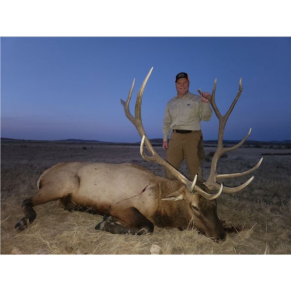 2026 Wyoming Governor's Deer, Elk or Antelope License