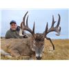 Image 3 : Alberta Minister's Whitetail Licence 2026