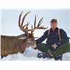 Image 5 : Alberta Minister's Whitetail Licence 2026